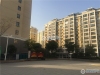 西溪花苑实景图，拍摄于2019/11/13