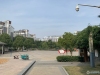 塘市花苑实景图，拍摄于2019/11/13