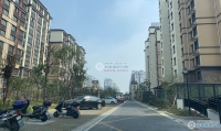 塘市花苑实景图，拍摄于2019/11/13