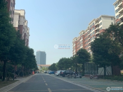 ����Է�������