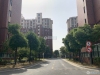 勤星苑南区实景图，拍摄于2019/11/13