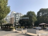 金城花园实景图，拍摄于2019/11/14