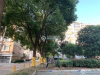 沙工新村实景图，拍摄于2019/11/14