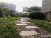 锦都花苑实景图，拍摄于2019/11/14