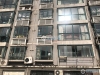 锦都花苑实景图，拍摄于2019/11/14