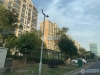 湖东花苑实景图，拍摄于2019/11/14