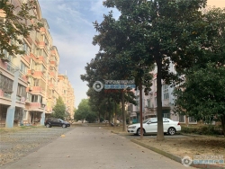 ����Է���
