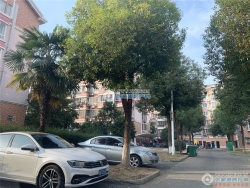 ����Է���