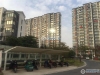 泗兴佳苑实景图，拍摄于2019/11/14