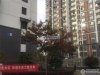 泗兴佳苑实景图，拍摄于2019/11/14