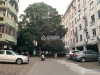 东渡花园实景图，拍摄于2019/11/14
