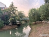南湖苑实景图，拍摄于2019/11/14