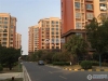 新航花苑实景图，拍摄于2019/11/14