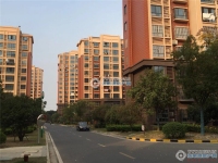 新航花苑实景图，拍摄于2019/11/14