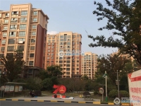 新航花苑实景图，拍摄于2019/11/14