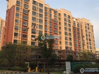 新航花苑实景图，拍摄于2019/11/14