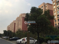 新航花苑实景图，拍摄于2019/11/14