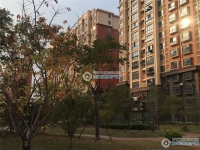 新航花苑实景图，拍摄于2019/11/14