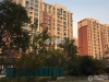 新航花苑实景图，拍摄于2019/11/14