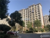 百家桥新村实景图，拍摄于2019/11/15