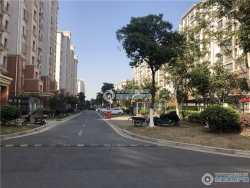 �ټ����´����