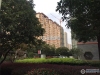 农联家园实景图，拍摄于2019/11/25