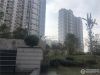 望江水岸实景图，拍摄于2019/11/25