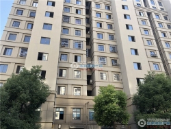 ����Է���