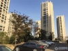 镇山小区户型图，拍摄于2019/11/25