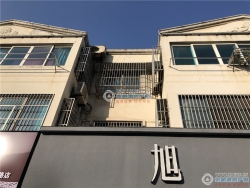 �����´����