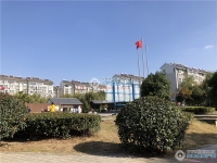 北海花苑实景图，拍摄于2019/12/12