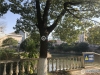 通运新村实景图，拍摄于2019/12/12