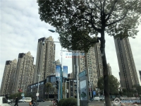 阳光锦程实景图，拍摄于2019/12/13