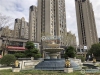 阳光锦程实景图，拍摄于2019/12/13
