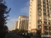 横泾花园实景图，拍摄于2019/12/13