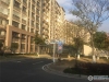 横泾花园实景图，拍摄于2019/12/13