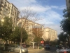 横泾花园实景图，拍摄于2019/12/13