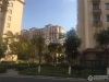 横泾花园实景图，拍摄于2019/12/13