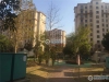 横泾花园实景图，拍摄于2019/12/13