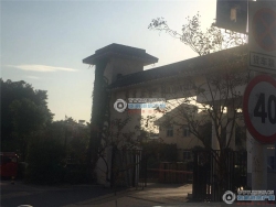��Է�������