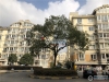 扬帆名都花苑实景图，拍摄于2019/12/13