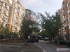 长江新城花园实景图，拍摄于2019/12/13
