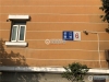 长江新城花园实景图，拍摄于2019/12/13