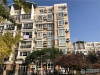 长江新城花园实景图，拍摄于2019/12/13