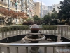 怡景湾实景图，拍摄于2019/12/13