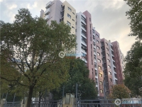 置地甲江南实景图，拍摄于2019/12/13