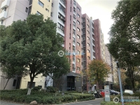 置地甲江南实景图，拍摄于2019/12/13