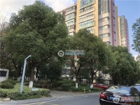 置地甲江南实景图，拍摄于2019/12/13