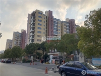 置地甲江南实景图，拍摄于2019/12/13