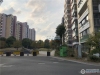 置地甲江南实景图，拍摄于2019/12/13